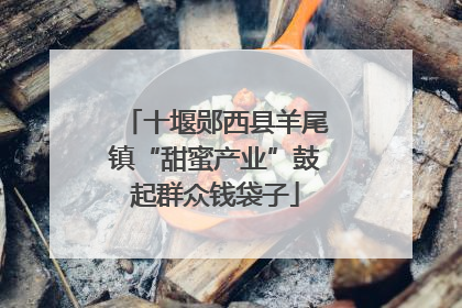 十堰郧西县羊尾镇“甜蜜产业”鼓起群众钱袋子